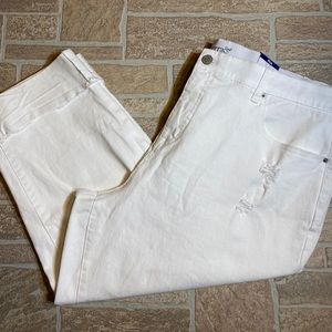 Terra and Sky 24W Distressed Jean Capri NWT